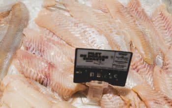 Comment am&eacute;liorer la lisibilit&eacute; des &eacute;tiquettes de prix en poissonnerie ?
