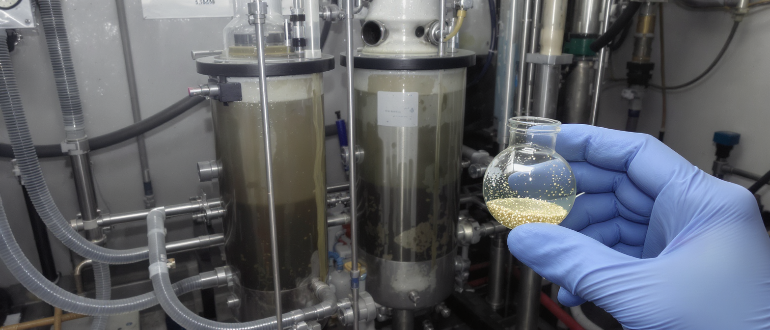 PORELIO : révolutionner le traitement des eaux usées pour extraire des métaux précieux